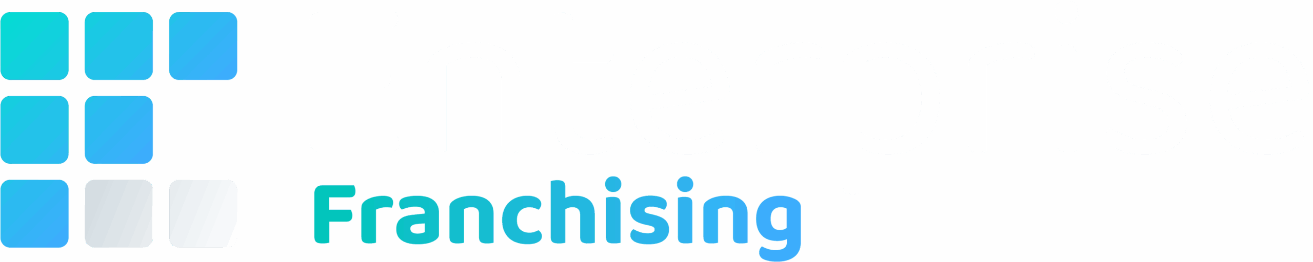 Enterprise Franchising Consulting