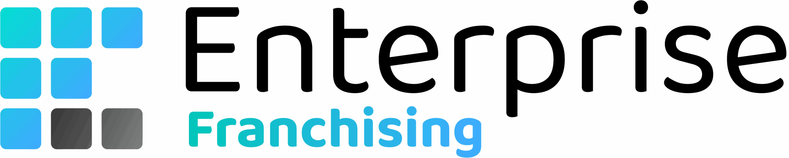 Enterprise Franchise Consulting